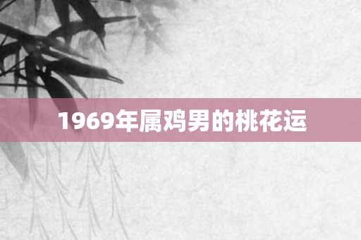 1969年属鸡男的桃花运