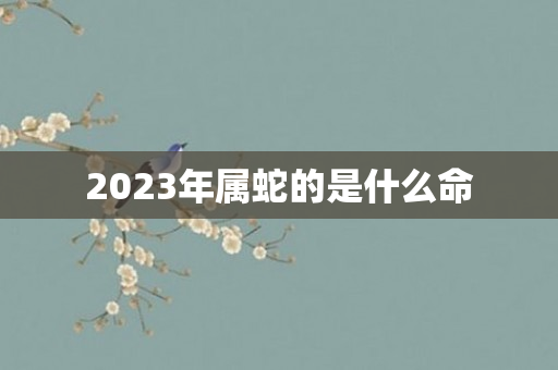 2023年属蛇的是什么命