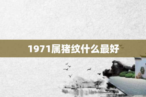 1971属猪纹什么更好