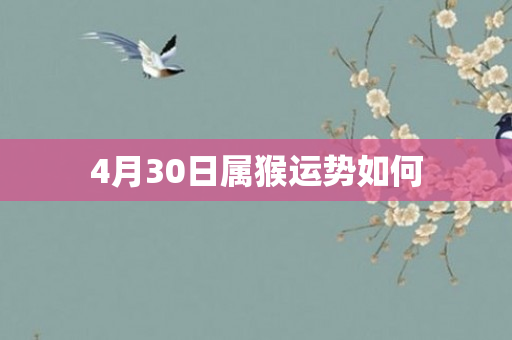 4月30日属猴运势如何