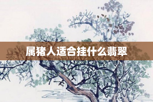 属猪人适合挂什么翡翠