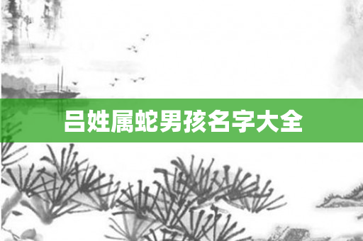 吕姓属蛇男孩名字大全