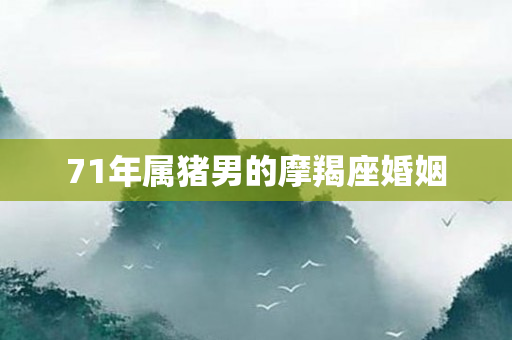 71年属猪男的摩羯座婚姻