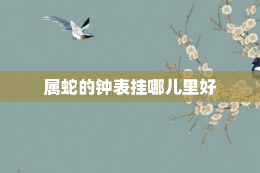 属蛇的钟表挂哪儿里好