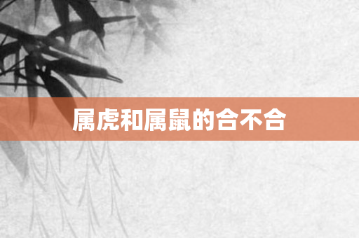 属虎和属鼠的合不合