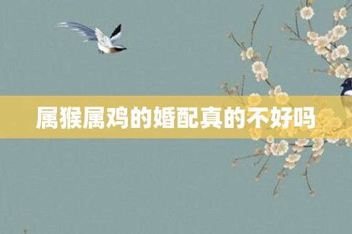 属猴属鸡的婚配真的不好吗