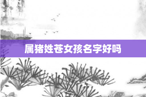 属猪姓苍女孩名字好吗