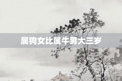 属狗女比属牛男大三岁