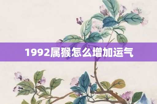 1992属猴怎么增加运气