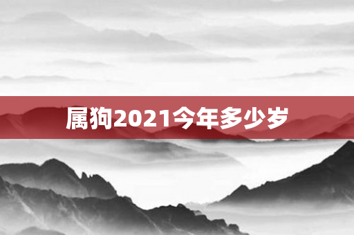 属狗2021今年多少岁