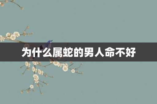为什么属蛇的男人命不好