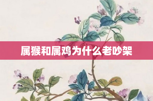 属猴和属鸡为什么老吵架