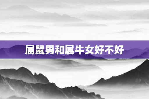 属鼠男和属牛女好不好