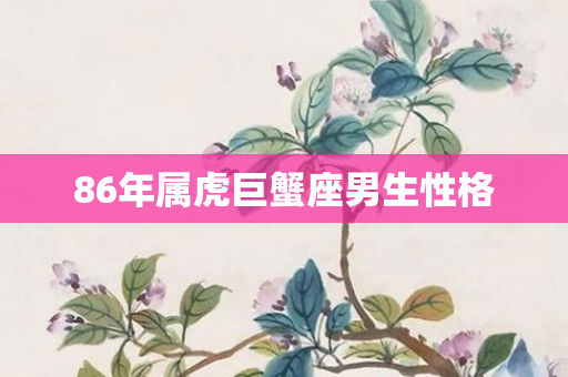 86年属虎巨蟹座男生性格