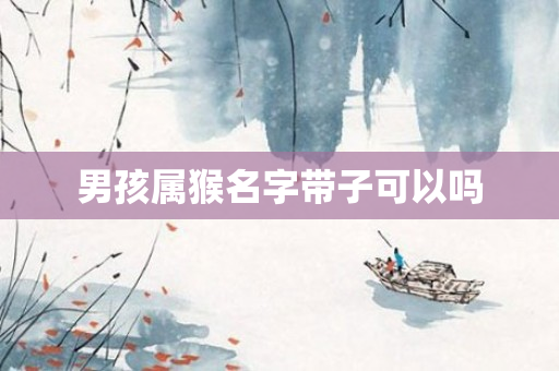 男孩属猴名字带子可以吗