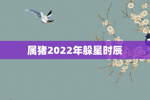 属猪2022年躲星时辰