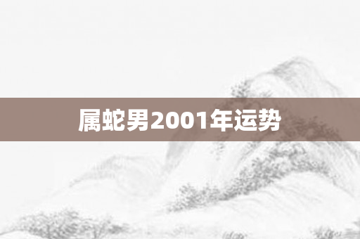 属蛇男2001年运势