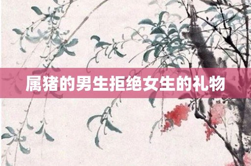 属猪的男生拒绝女生的礼物
