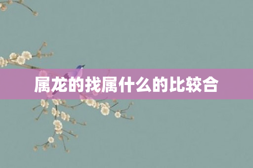 属龙的找属什么的比较合