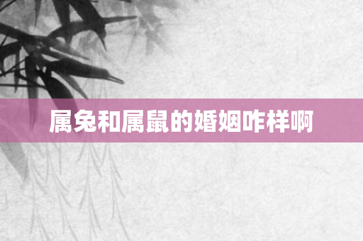 属兔和属鼠的婚姻咋样啊
