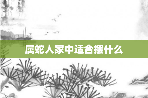 属蛇人家中适合摆什么
