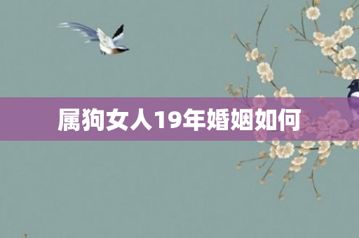 属狗女人19年婚姻如何