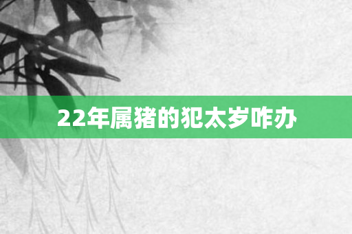22年属猪的犯太岁咋办