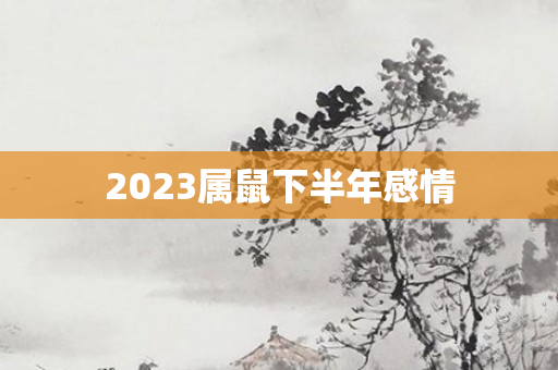 2023属鼠下半年感情