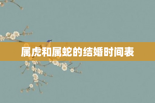 属虎和属蛇的结婚时间表