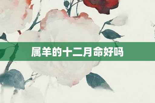 属羊的十二月命好吗