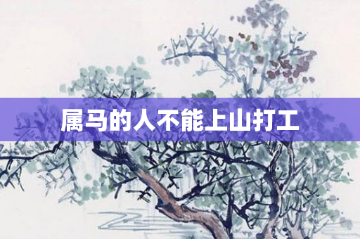 属马的人不能上山打工