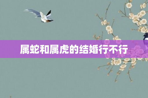属蛇和属虎的结婚行不行