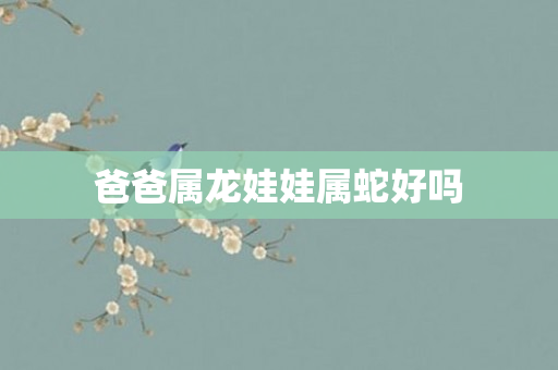 爸爸属龙娃娃属蛇好吗