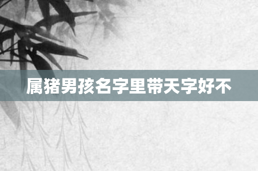 属猪男孩名字里带天字好不