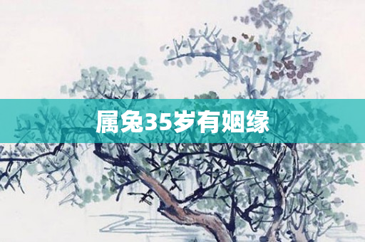 属兔35岁有姻缘