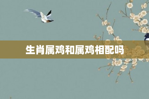 生肖属鸡和属鸡相配吗