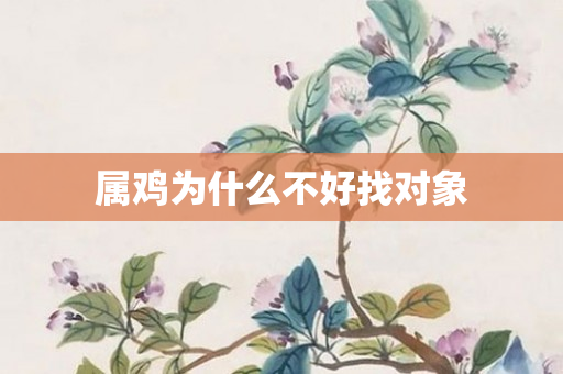 属鸡为什么不好找对象
