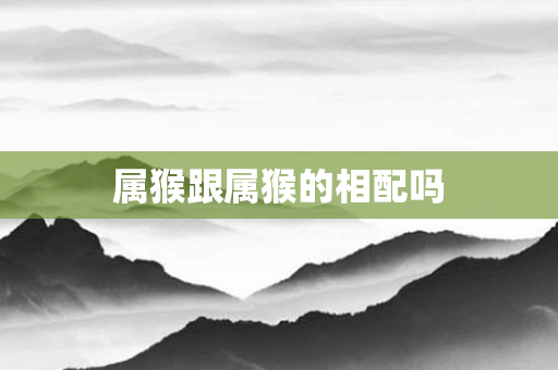属猴跟属猴的相配吗
