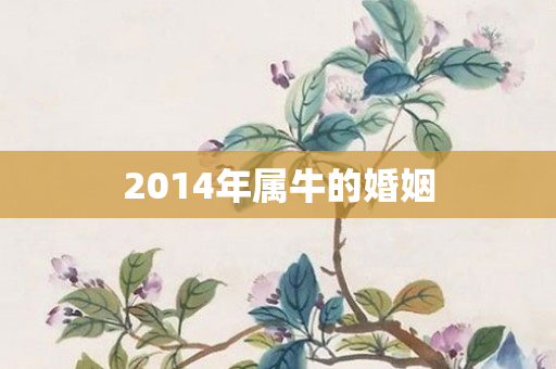 2014年属牛的婚姻