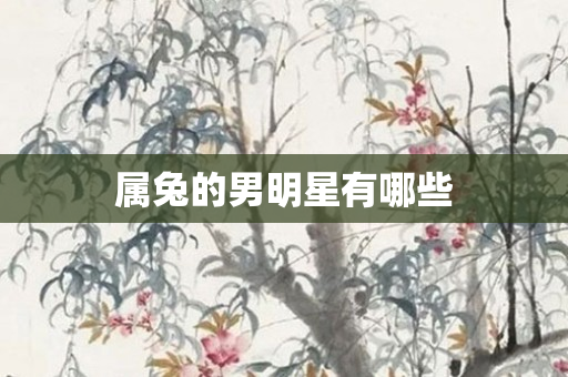属兔的男明星有哪些
