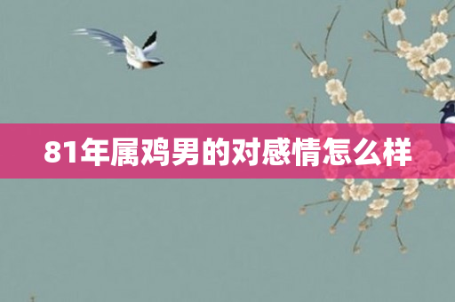 81年属鸡男的对感情怎么样