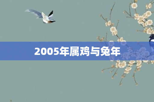 2005年属鸡与兔年