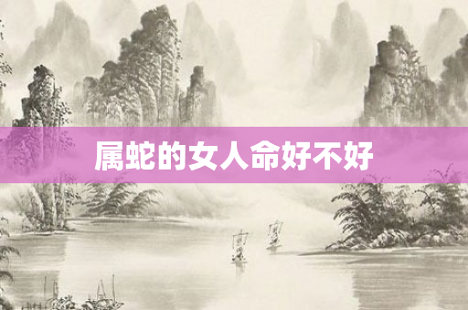 属蛇的女人命好不好