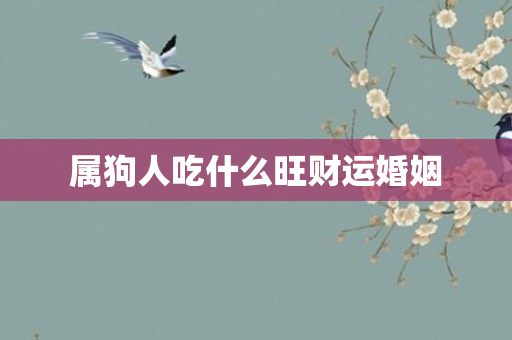 属狗人吃什么旺财运婚姻