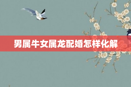 男属牛女属龙配婚怎样化解