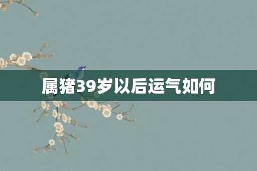 属猪39岁以后运气如何