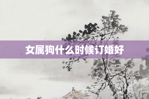 女属狗什么时候订婚好