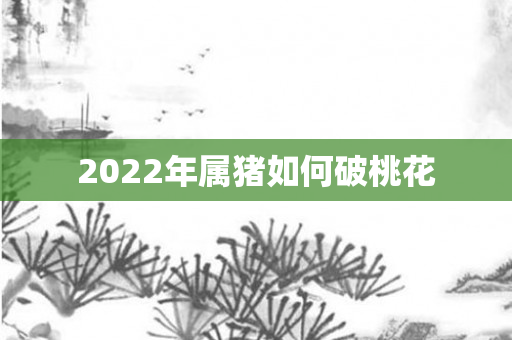 2022年属猪如何破桃花