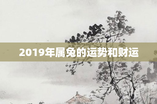 2019年属兔的运势和财运