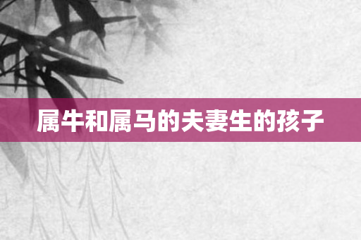 属牛和属马的夫妻生的孩子